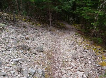 Trail Walking Modane - Boucle Modane / Fort du replaton / Fort de Sapey - Photo