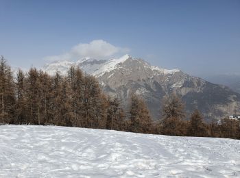 Tour Schneeschuhwandern Puy-Saint-Vincent - la tête d'Oréac - Photo