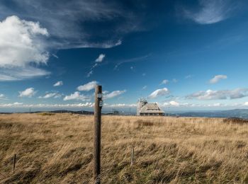 Percorso A piedi Kirchzarten - Kirchzarten - Feldberg - Photo