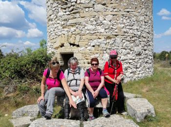 Randonnée Marche La Bruguière - La Bruguiere Fontareches - Photo