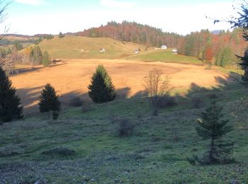 Tour Wandern Montcel - La Croix du Berger - Photo