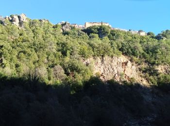 Tocht Stappen Draguignan - malmont chapelle st jean - Photo