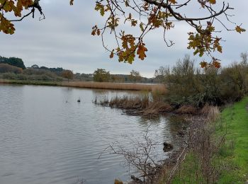 Trail Walking La Trinité-sur-Mer - PR_56_La-Trinite-Sur-Mer_AA_01_Circuit1b_Les-Marais_20221211 - Photo