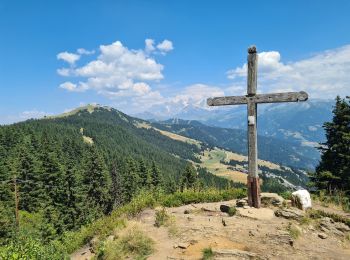 Excursión Senderismo Villard-sur-Doron - La Croix de Coste depuis le hameau du Beaufortain - Photo