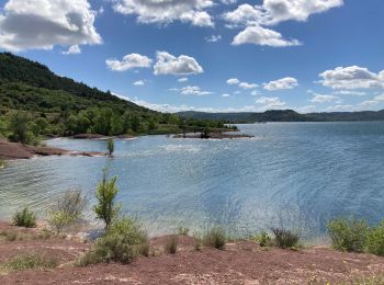 Excursión Bici de montaña Clermont-l'Hérault - Salagou  - Photo