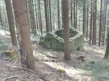 Excursión Senderismo Cans et Cévennes - Le Mazel de Mort - Photo