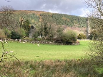 Trail Walking The Municipal District of Wicklow - Glendalough - Photo