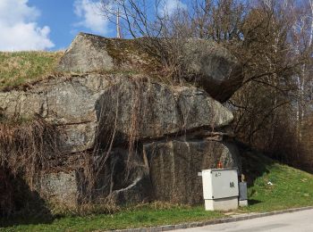 Tocht Te voet Gemeinde Heidenreichstein - Wanderweg Pengers - Photo