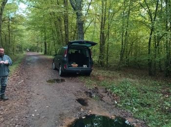 Excursión Otra actividad Bort-l'Étang - trompette bouru - Photo