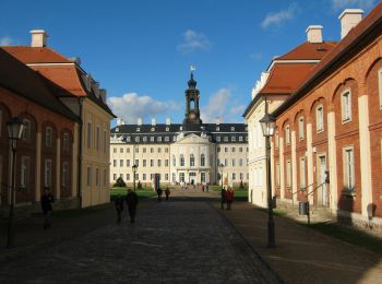 Trail On foot Wermsdorf - Wanderroute Forsthaus Seelitz - Photo