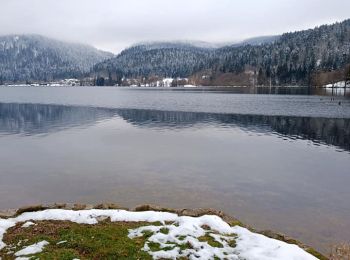 Tour Wandern Xonrupt-Longemer - Le tour du lac de longemer - Photo
