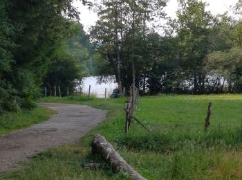 Tour Wandern Le Frasnois - Rando des 4 lacs par le Pic de l'Aigle - Photo