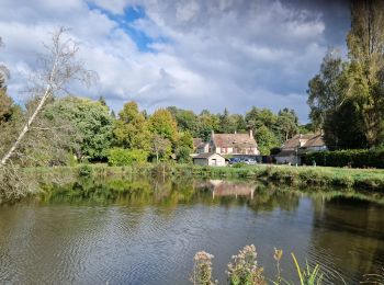 Trail Walking Clairefontaine-en-Yvelines - Clairefontaine - Photo