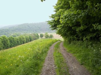 Percorso A piedi Augustusburg - Großer Ermannsdorfer Rundweg - Photo