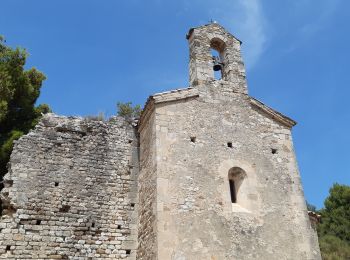 Tocht Stappen Séguret - Seguret Chapelle St Come - Photo