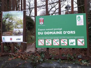 Percorso Marcia Magny-les-Hameaux - domaine d ors - Photo