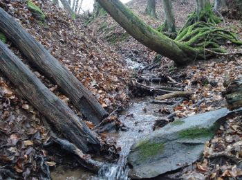 Trail On foot Sommerkahl - Kulturweg Blankenbach und Eichenberg - Photo