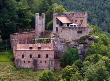 Randonnée A pied Esthal - DE-2 Breitenstein - Photo