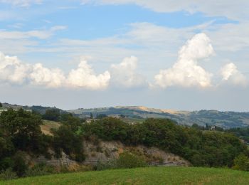 Tour Zu Fuß Viano - Ca' Bertacchi - Regnano - Santa Maria al Castello - Ca' Bertacchi - Photo