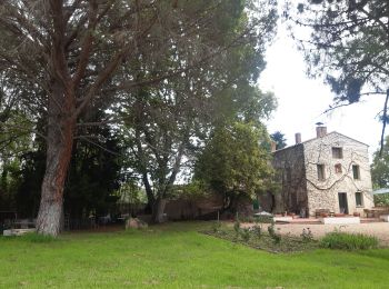 Tour Wandern Montesquieu-des-Albères - montesquieu-des-alberes entre canaux, rivières et tech  - Photo