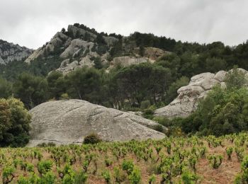 Tour Wandern Évenos - Les grès de Sainte Anne d'Evenos - Photo