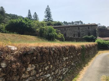 Trail Walking Soustelle - Le Roubarbel Le Galaizon - Photo