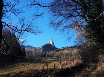 Tour Nordic Walking Seyssins - Voie du Tram en circuit jusqu'au Ravaud - Photo