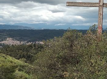 Excursión Senderismo Saint-Julien - Les Maurras Les Garduères           rduaires - Photo