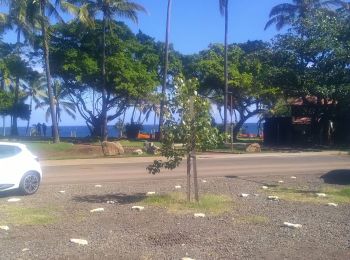 Tocht Stappen Petite-Île - Piton Grand Anse - Photo