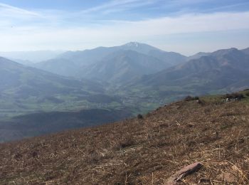 Tour Wandern Irouléguy - Jara boucle irouleguy - Photo