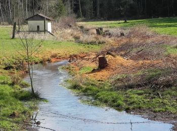 Randonnée A pied Faßberg - Südheide 'Wo der Wald mit der Heide kuselt' W2k (kurze Tour) - Photo