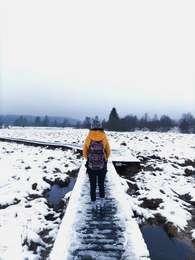 Tocht Stappen Waimes - La fagne de la Poleur. - Photo