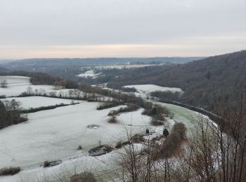 Tocht Stappen Neupré - Roche aux Faucons - Boucle de l'Ourthe  - Photo