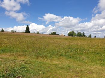 Randonnée Marche Belmont - Tour du Champ du Feu - Photo