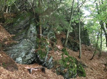 Excursión A pie Warmensteinach - Wurzbachweiher-Jägersteig - Photo