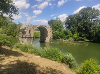 Trail Walking Villetelle - 2024-06-03 - Photo