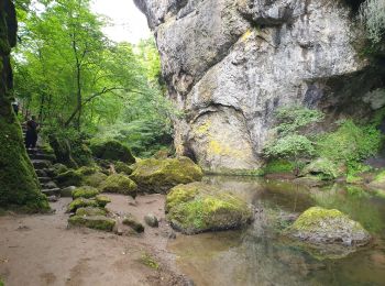 Excursión Senderismo Thiézac - Les Gorges du Pas de Cère - Photo