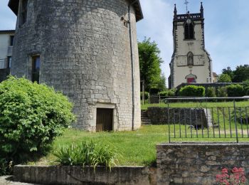 Tocht Elektrische fiets Tonnoy - Vermois-Toulois-Saintois - Photo