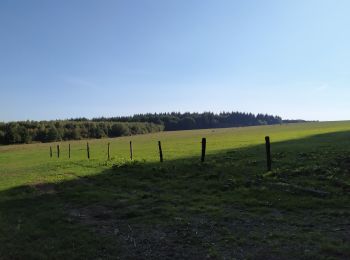 Excursión Senderismo Bièvre - Bièvre le Maquis promenade 14  - Photo