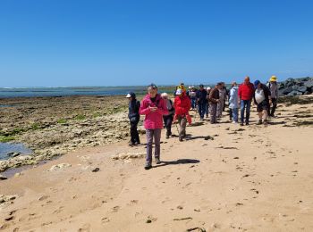 Excursión Senderismo Saint-Pierre-d'Oléron - St Pierre 1205 - Photo