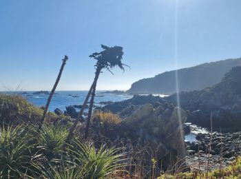 Trail Walking Casablanca - quintay - playa chica - Photo