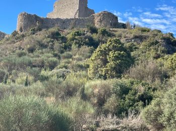 Trail Walking Paziols - Paziols château d’aguilra - Photo