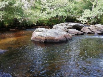 Tour Wandern Bugeat - Fred Bugeat la vezere - Photo