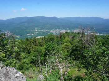 Randonnée Marche Grendelbruch - Le Piton du Falkenstein - Photo