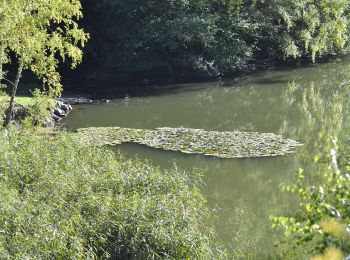 Randonnée A pied Adelebsen - Rundwanderweg Güntersen 3 - Photo