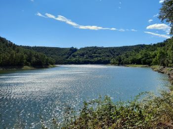 Trail Walking Carcès - Tour du lac de Carcès et chutes du Caramy. - Photo