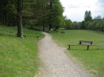 Tour Zu Fuß East Hampshire - Long Woodland Trail - Photo