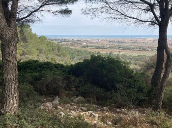 Tour Wandern Frontignan - Les balcons de Thau - Photo