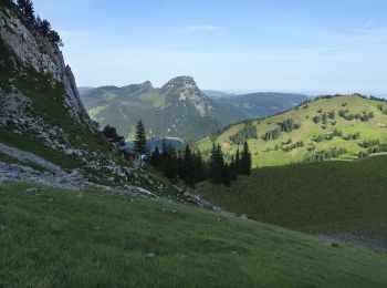 Tour Zu Fuß Innerthal - Schwarzenegghöchi - Innerthal - Photo