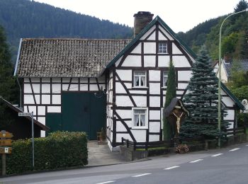 Tocht Te voet Simmerath - DE-66 - Photo